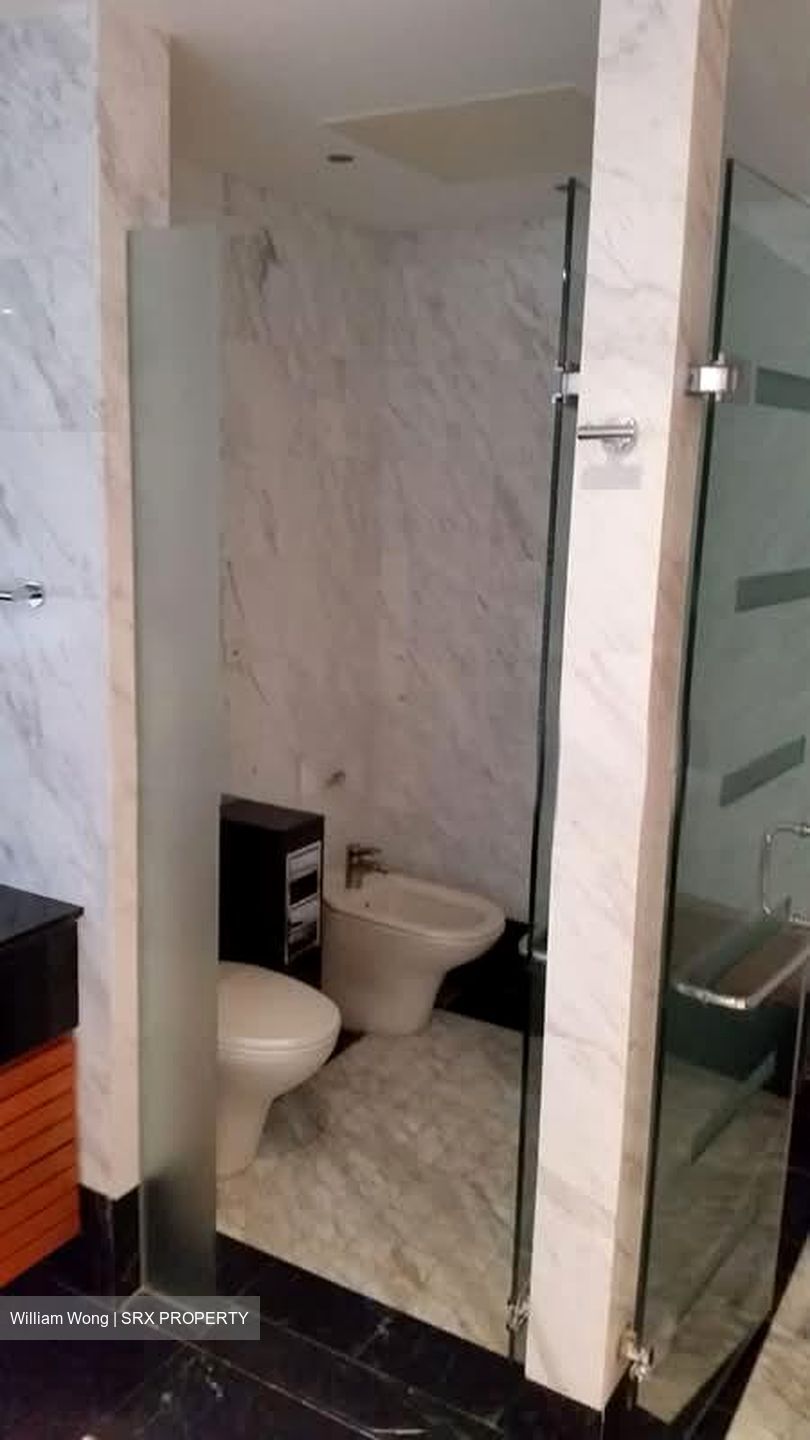 Setia Residences (D11), Apartment #558504781